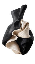 Jewelry & Accessories